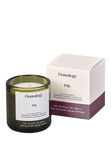 Osmology by Aery Utility Fig Scented Candle, 200g, Green