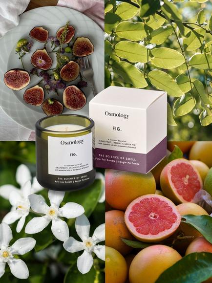 Osmology by Aery Utility Fig Scented Candle, 200g - view 2, Green