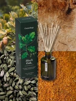 Osmology by Aery Black Oak Reed Diffuser, 200ml - view 2, Green