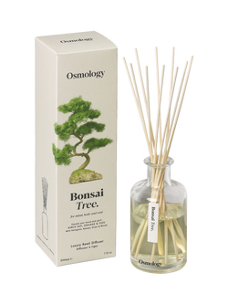 Osmology by Aery Bonsai Tree Reed Diffuser, 200ml, White