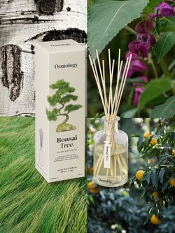 Osmology by Aery Bonsai Tree Reed Diffuser, 200ml - view 2, White