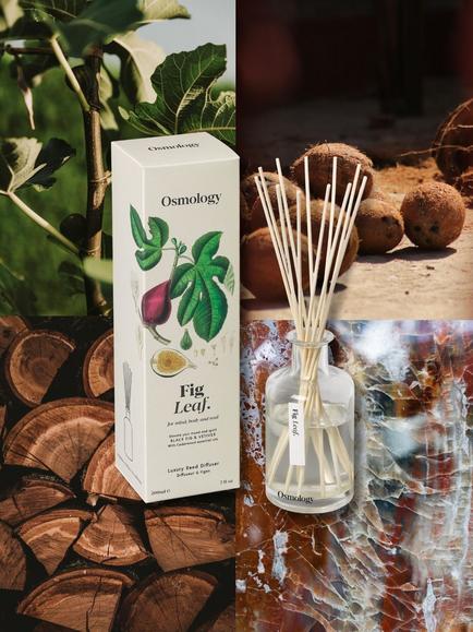 Osmology by Aery Fig Leaf Reed Diffuser, 200ml - view 2, White