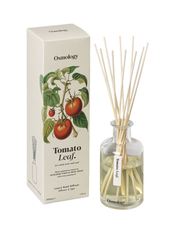 Osmology by Aery Tomato Leaf Reed Diffuser, 200ml, White