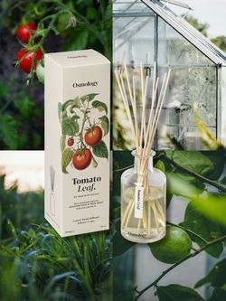 Osmology by Aery Tomato Leaf Reed Diffuser, 200ml - view 2, White