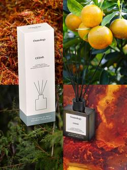 Osmology by Aery Utility Cedar Reed Diffuser - view 2, Green