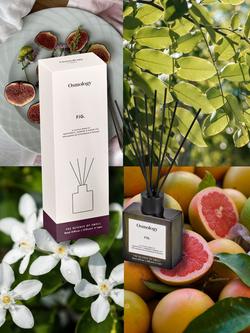 Osmology by Aery Utility Fig Reed Diffuser - view 2, Green