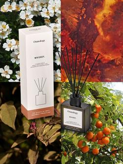 Osmology by Aery Utility Whiskey Reed Diffuser - view 2, Green