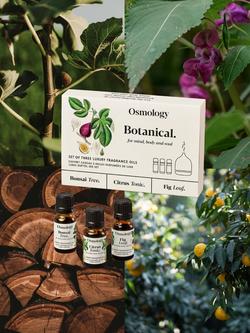 Osmology by Aery Botanical Fragrance Oil Gift Set - view 2, White