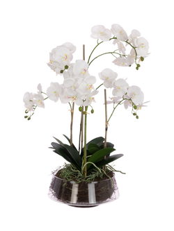 Floralsilk Artificial Phalaenopsis Orchid Bowl, 74cm, White, White