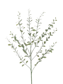 Floralsilk Artificial Bay Leaf Spray, 77cm, Green, Green