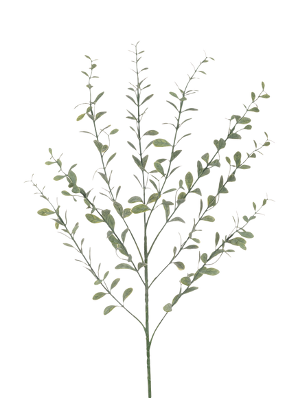Floralsilk Artificial Bay Leaf Spray, 77cm, Green, Green