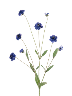 Floralsilk Artificial Cornflower Spray, 90cm, Blue, Blue