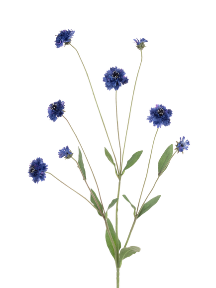 Floralsilk Artificial Cornflower Spray, 90cm, Blue, Blue
