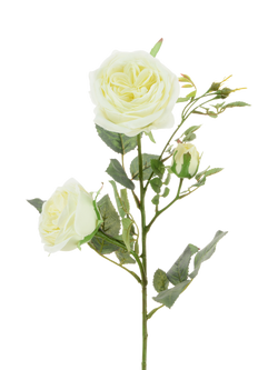 Floralsilk Artificial Olivia Rose Spray, 66cm, White, White