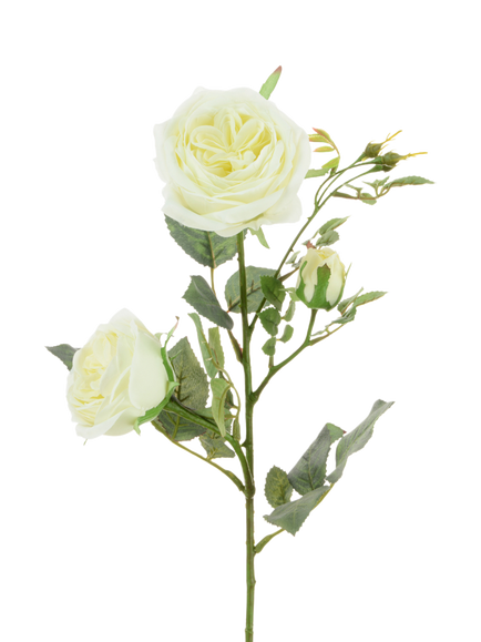 Floralsilk Artificial Olivia Rose Spray, 66cm, White, White
