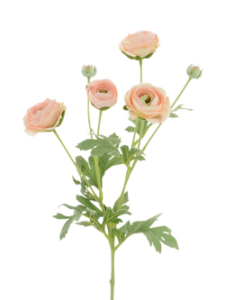 Floralsilk Artificial Ranunculus Stem, 66cm, Pink, Pink