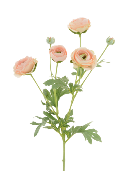 Floralsilk Artificial Ranunculus Stem, 66cm, Pink, Pink