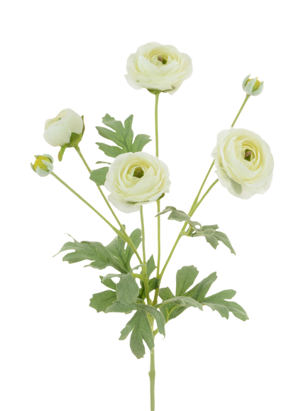 Floralsilk Artificial Ranunculus Stem, 66cm, White, White