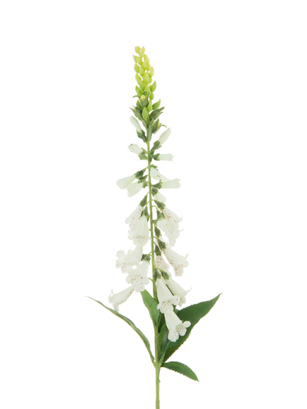 Floralsilk Artificial Foxglove Stem, 97cm, White, White