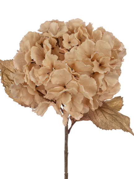 Floralsilk Artificial Autumn Hydrangea Stem, 80cm, Cream, Cream