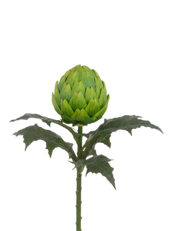 Floralsilk Artificial Large Artichoke Stem, 66cm, Green, Green