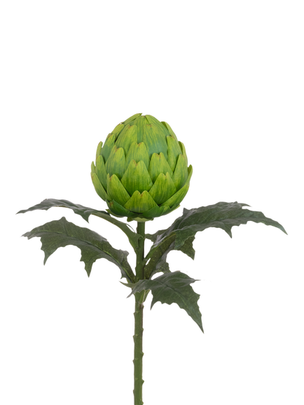Floralsilk Artificial Large Artichoke Stem, 66cm, Green, Green