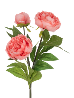 Floralsilk Artificial Peony Spray with 3 Flowers, 76cm, Peach, Peach