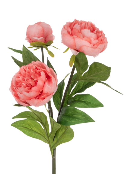 Floralsilk Artificial Peony Spray with 3 Flowers, 76cm, Peach, Peach