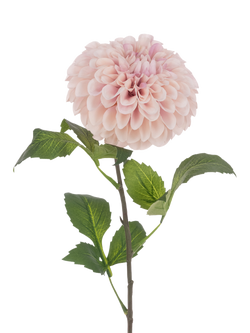 Floralsilk Artificial Pom Pom Dahlia Stem, 74cm, Pink, Pink