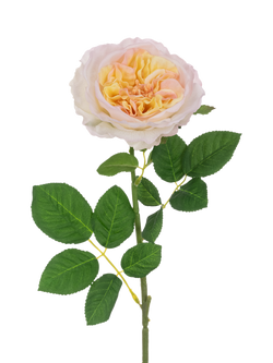 Floralsilk Artificial Rose Stem, 60cm, Peach, Peach