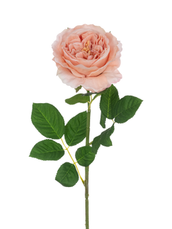 Floralsilk Artificial Rose Stem, 60cm, Pink, Pink
