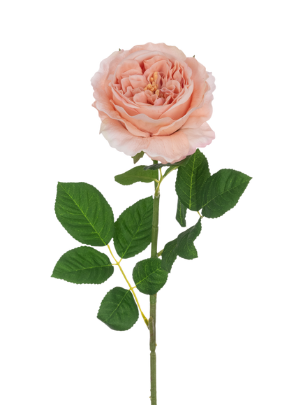 Floralsilk Artificial Rose Stem, 60cm, Pink, Pink