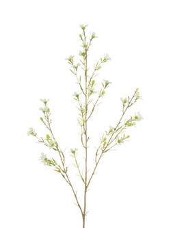 Floralsilk Artificial Wax Flower, 78cm, Green, Green