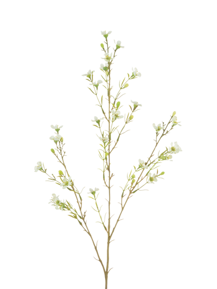 Floralsilk Artificial Wax Flower, 78cm, Green, Green
