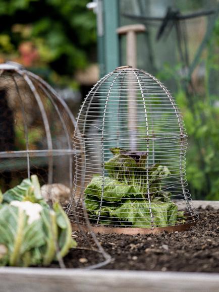 Wilstone Bell Cloche - view 2, Natural