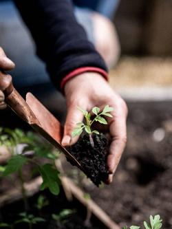 Wilstone Mango Wood Handle Garden Hand Trowel, Copper - view 2, Natural