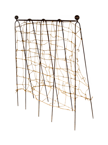 Wilstone Garden Pea Frame, Natural