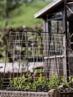 Wilstone Garden Pea Frame - view 2, Natural