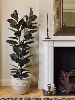 Plant Drop Extra Large Rubber Bush Plant - view 2, Multi