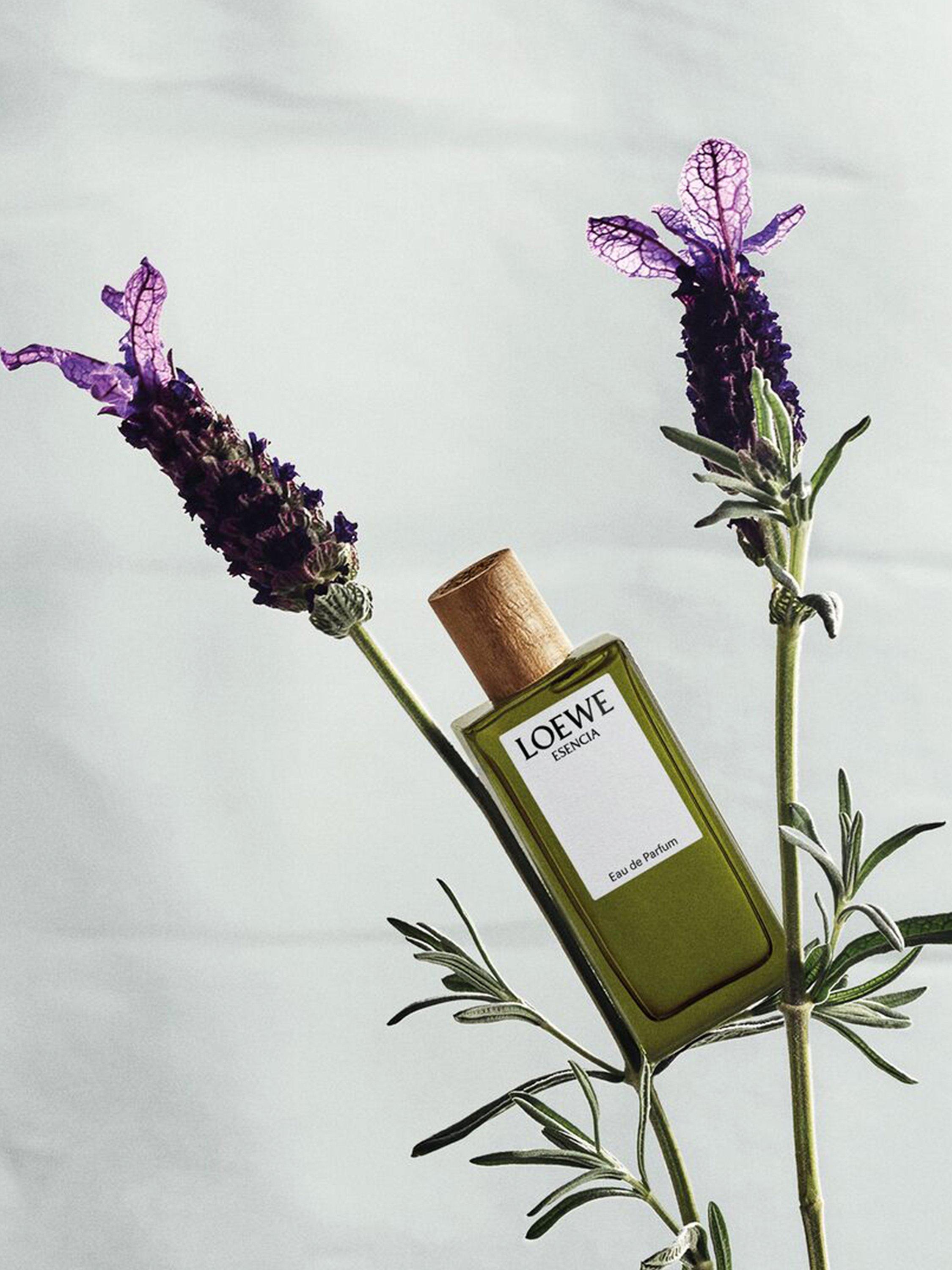 Product image 5 of 7, which shows LOEWE Botanical Rainbow Collection Fragrance Gift Set, 5 x 7ml