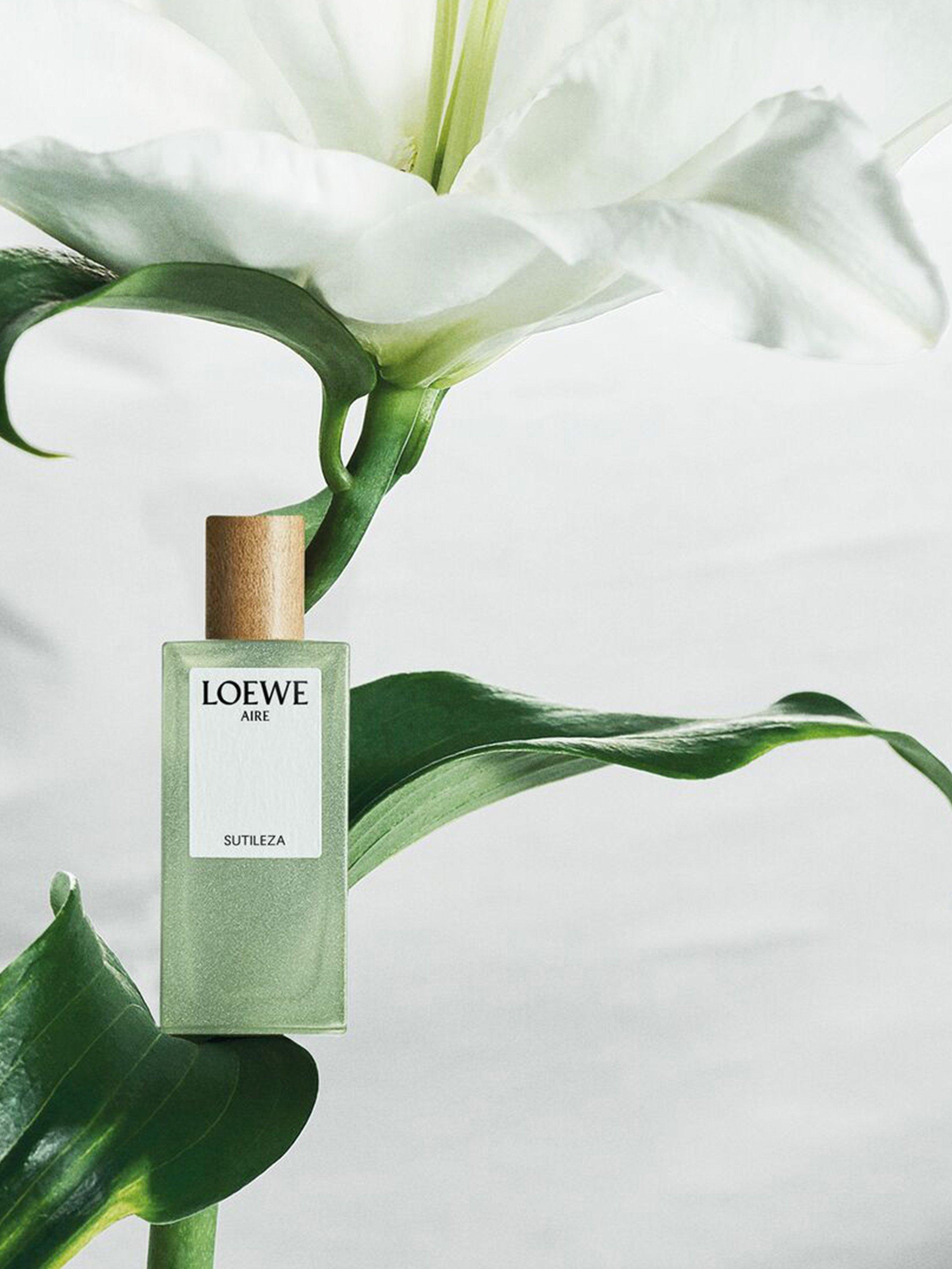 Product image 6 of 7, which shows LOEWE Botanical Rainbow Collection Fragrance Gift Set, 5 x 7ml