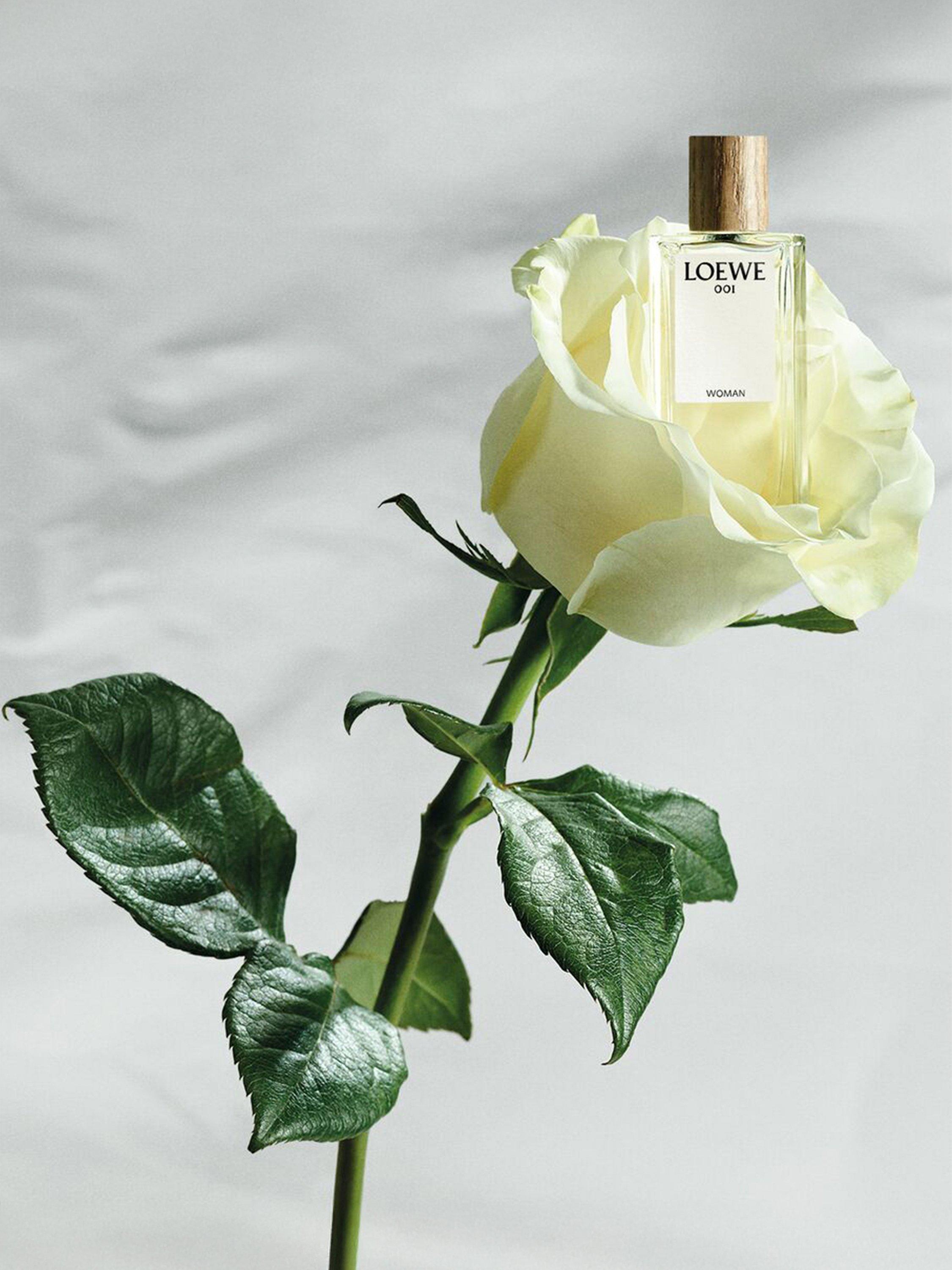 Product image 7 of 7, which shows LOEWE Botanical Rainbow Collection Fragrance Gift Set, 5 x 7ml