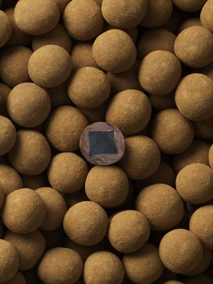 LAKRIDS BY BÜLOW Large Chocolate Coated Liquorice, Original, 515g - view 2, Multi