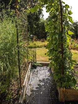 Growing Arch - view 2, Natural