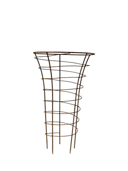 Wilstone Trumpet Plant Frame, 