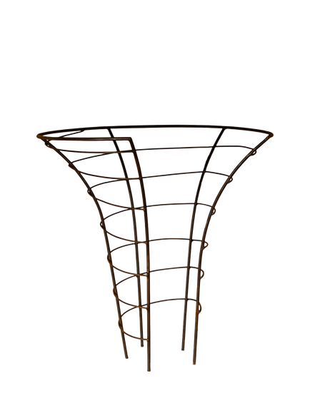 Wilstone Peony Plant Frame, Natural