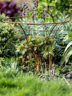 Wilstone Peony Plant Frame - view 2, Natural