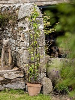 Wilstone Garden Pot Spiral Obelisk - view 2, Natural