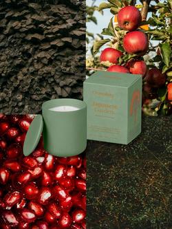 Osmology by Aery Japanese Garden Scented Candle, 280g - view 2, Green
