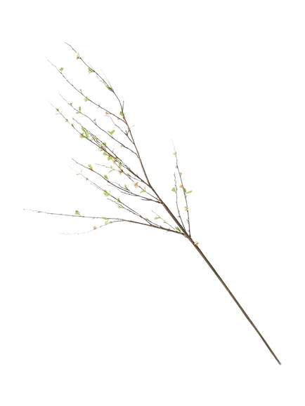 West Elm Faux Blossom Branch, Ivory
